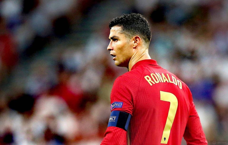 青岛海牛 青岛海牛