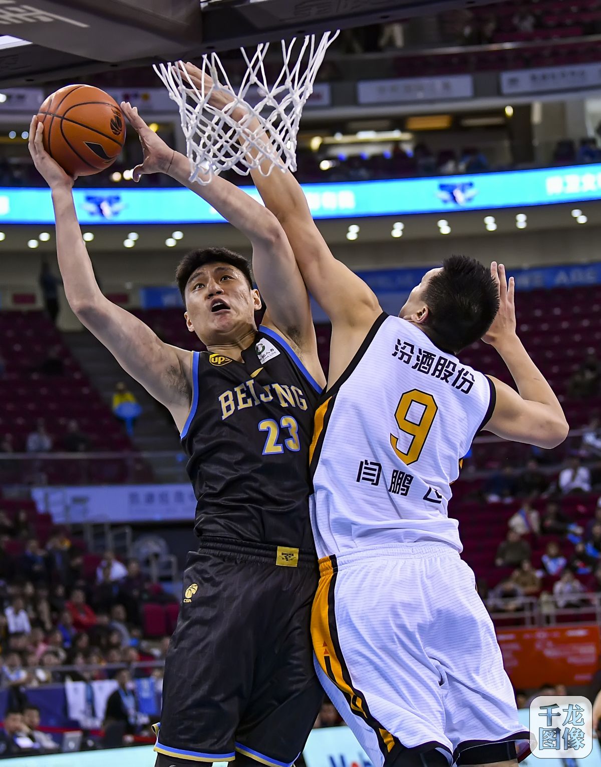 奠定小熊最 奠定小熊最